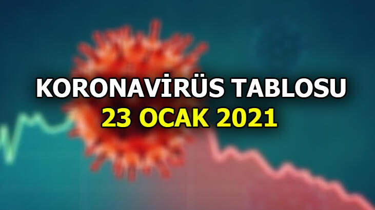 Koronavirüs tablosu 23 Ocak 2021